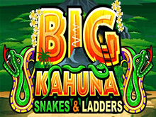 Большая Кахуна: Змеи И Лестницы в онлайн-казино Вулкан Ставка